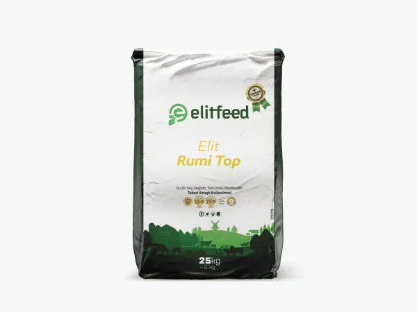 Elitfedd Rumi Top